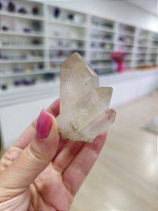 Ponta Fumê Lemuriano Autocurado