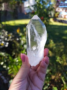 Lemuriano Autocurado na Lateral