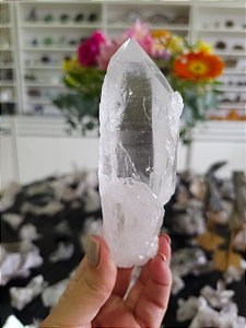 Lemuriano Autocurado Phantom