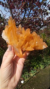 Drusa de Mestres Quartzo Tangerina