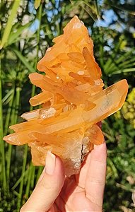 Drusa de Mestres  Quartzo Tangerina