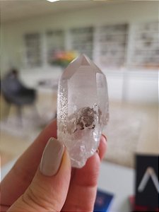 Mestre Phantom Lemuriano