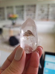 Mestre Phantom Lemuriano