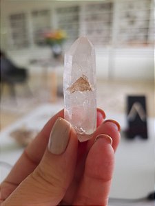 Mestre Phantom Lemuriano