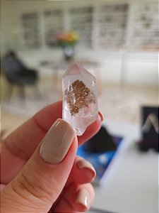 Mestre Phantom Lemuriano