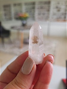 Mestre Phantom Lemuriano