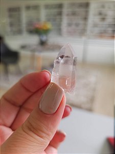 Mestre Phantom Lemuriano