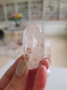 Mestre Phantom Lemuriano