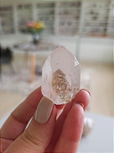 Mestre Phantom Lemuriano