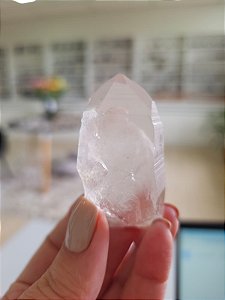 Mestre Phantom Lemuriano