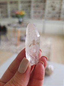 Mestre Phantom Lemuriano