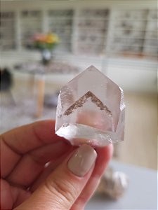 Mestre Phantom Lemuriano