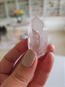 Mestre Phantom Lemuriano