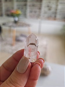 Mestre Phantom Lemuriano