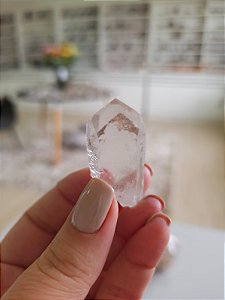 Mestre Phantom Lemuriano