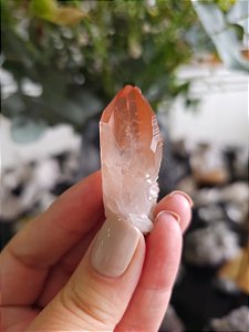 Ponta Pink Elo Futuro