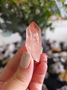 Ponta Pink com Marcações Lemurianas