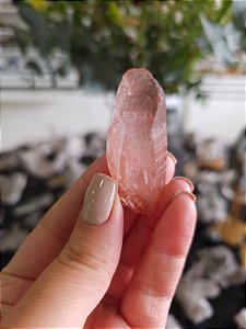 Ponta Pink com Marcações Lemurianas Autocurado