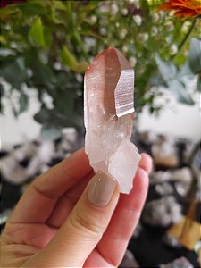 Ponta Pink com Marcações Lemurianas