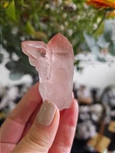 Ponta Pink com Marcações Lemurianas