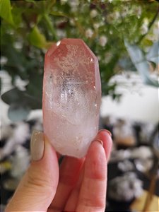 Ponta Pink com Marcações Lemurianas