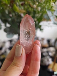 Ponta Pink Elo Futuro