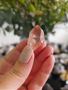 Ponta Pink com Marcações Lemurianas