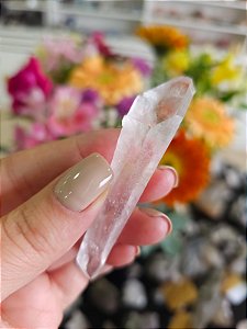 Mestre Laser Biterminado