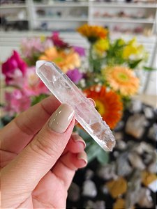 Mestre Laser Biterminado