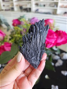 Cianita Negra - Vassoura de Bruxa