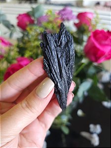 Cianita Negra - Vassoura de Bruxa