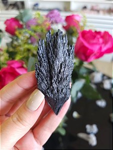 Cianita Negra - Vassoura de Bruxa