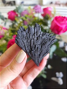 Cianita Negra - Vassoura de Bruxa