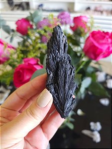 Cianita Negra - Vassoura de Bruxa