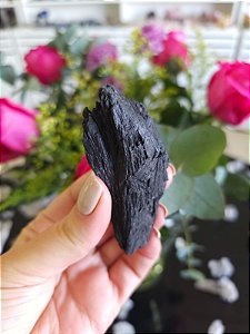 Cianita Negra - Vassoura de Bruxa