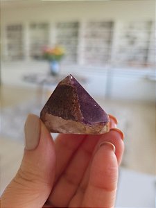 Casaco dos Sonhos - Dream Coat