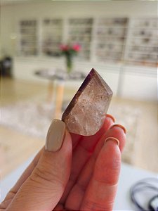 Casaco dos Sonhos - Dream Coat