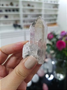 Mestre Ísis com Rutilos Negros e Arco-íris