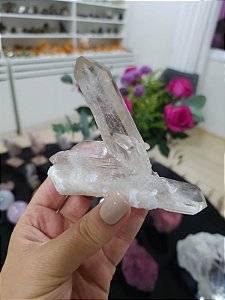 Drusa de Cristal Elo do Tempo Passado