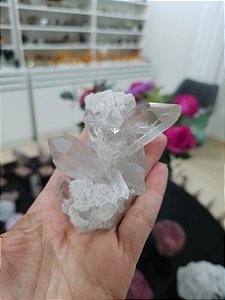 Drusa de Cristal Ísis