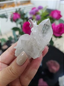 Drusa de Cristal