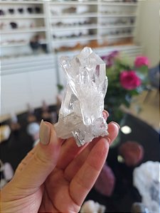 Drusa de Cristal