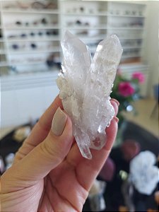 Drusa de Cristal Ísis Biterminado com inclusões
