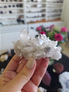 Drusa de Cristal