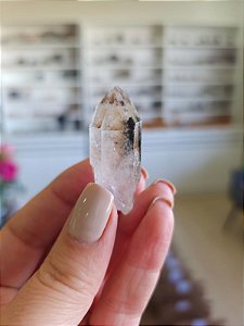 Ponta Quartzo Jardim