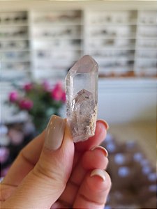 Ponta Quartzo Jardim