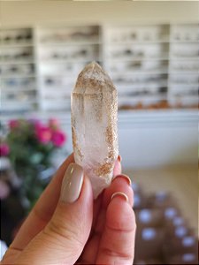 Ponta Quartzo Jardim