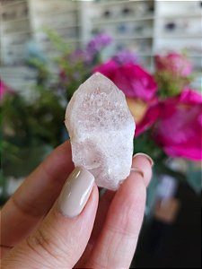 Ponta Pink Sugar