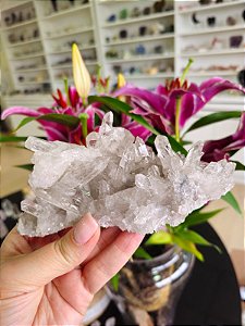 Drusa de Cristal