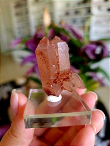 Drusa Quartzo Ocre Autocurada